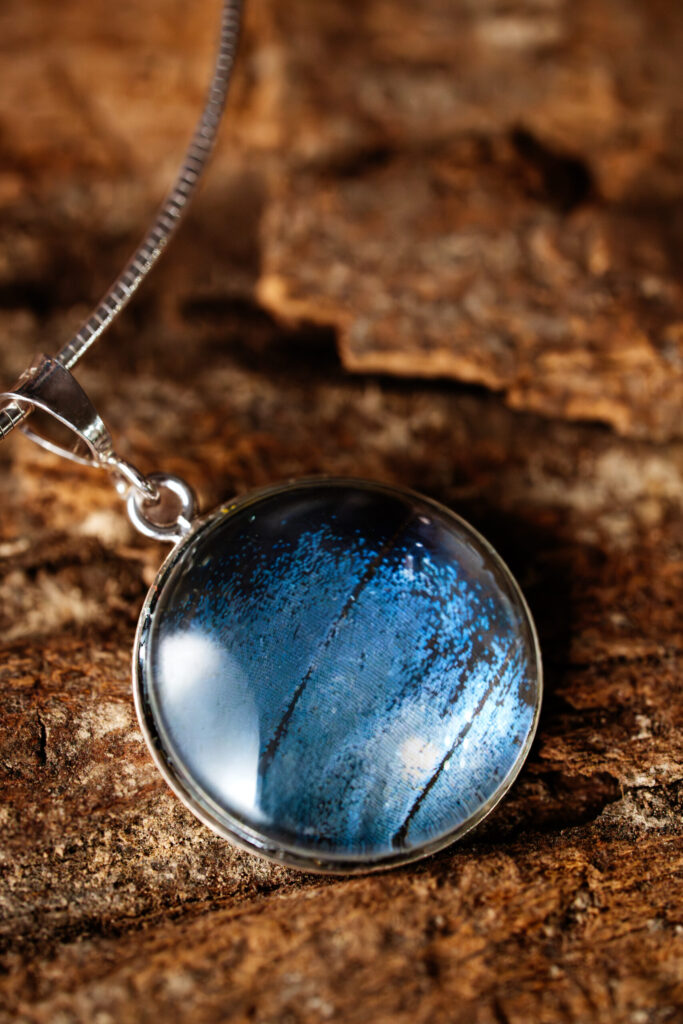 Morpho bleu